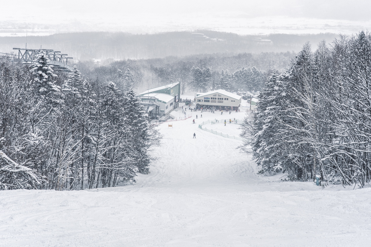 富良野スキー場｜数字以上に良い雪たっぷり！いよいよ『bonchi powder』本領発揮の季節到来です！